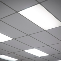 Led панели: особенности и преимущества осветительных конструкций Led панели: особенности и преимущества осветительных конструкций